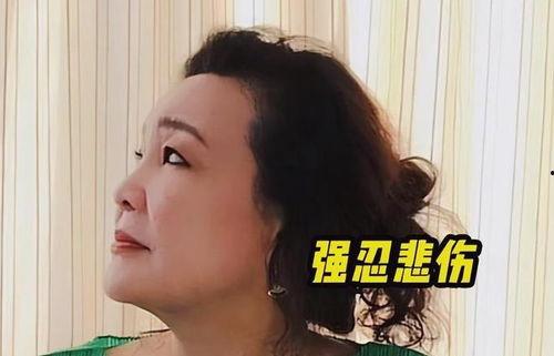 孟贺爆料张兰拿奖了吗视频,张兰获奖真相曝光  第3张